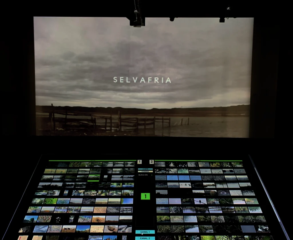 losojos selvafria 1