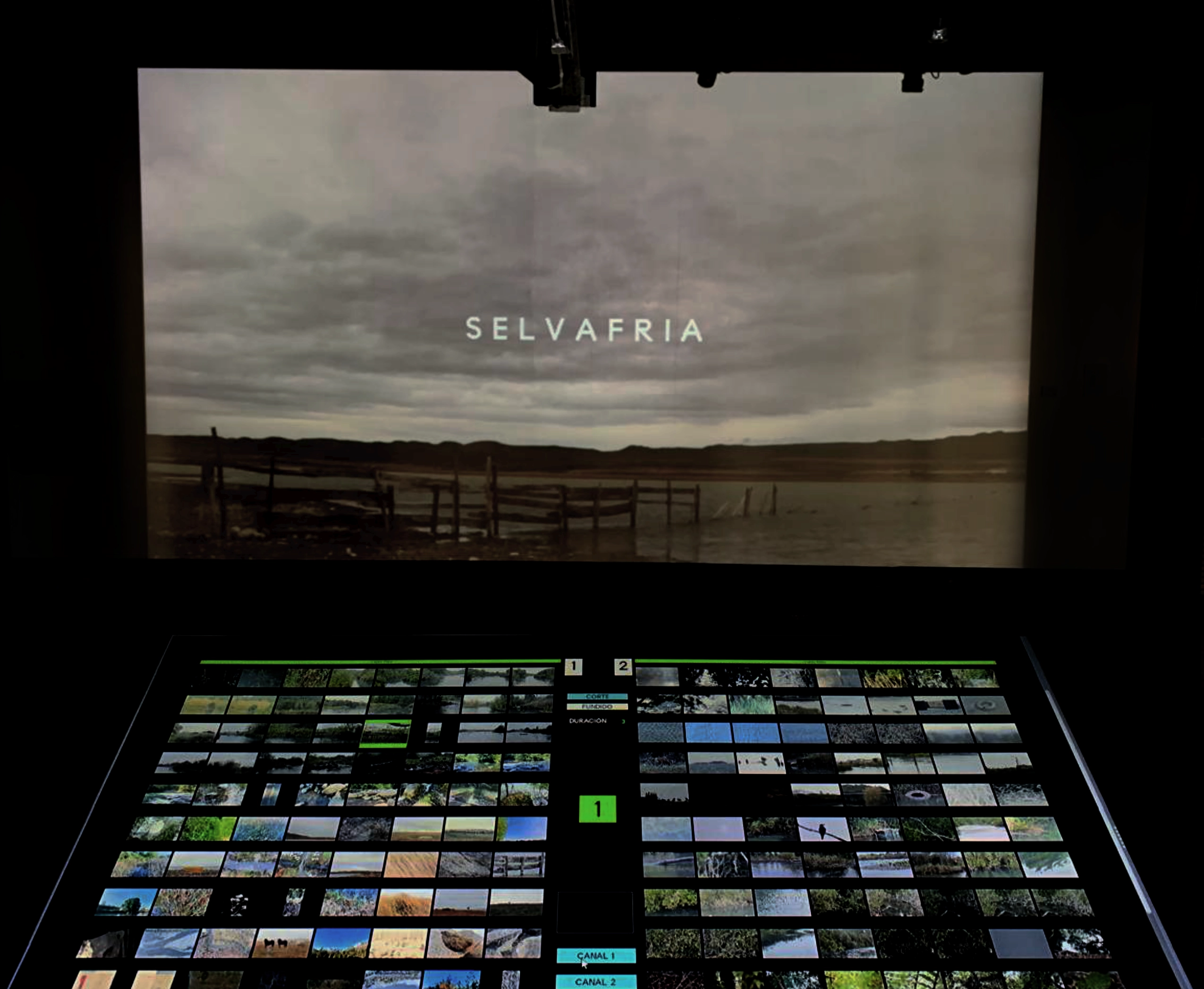 losojos selvafria 1